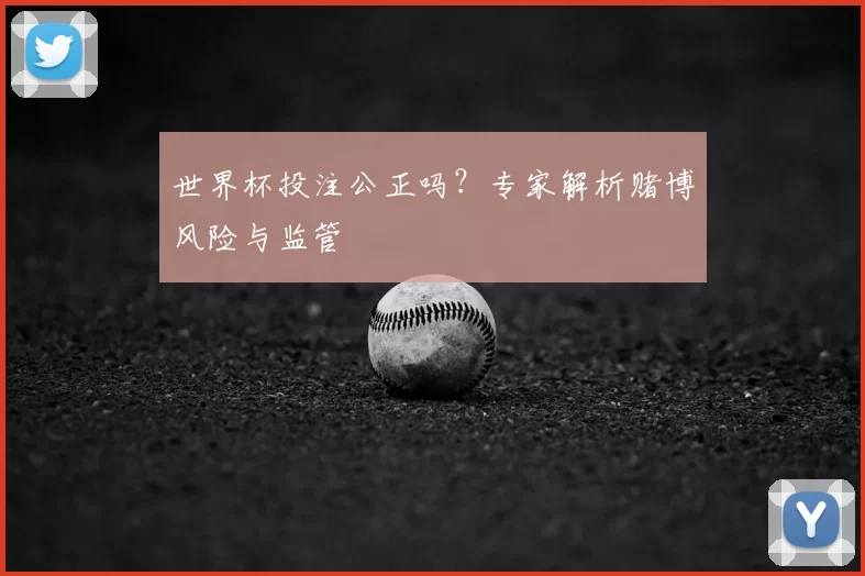 世界杯投注公正吗?专家解析赌博风险与监管