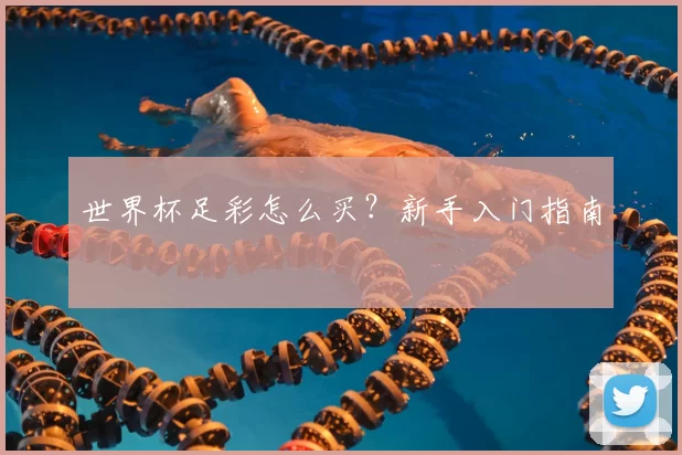 世界杯足彩怎么买？新手入门指南
