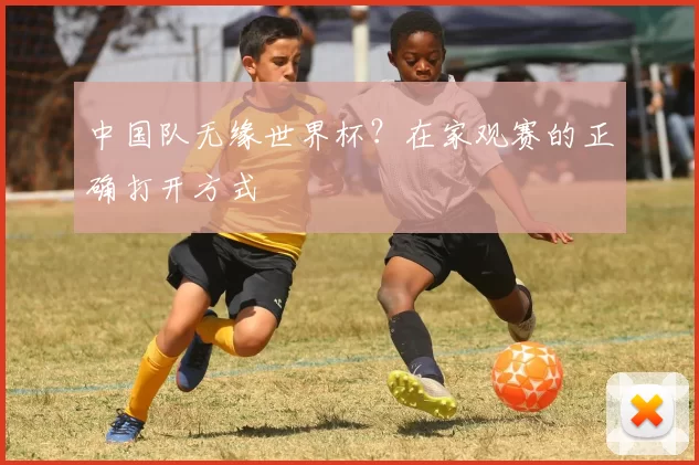 中国队无缘世界杯？在家观赛的正确打开方式