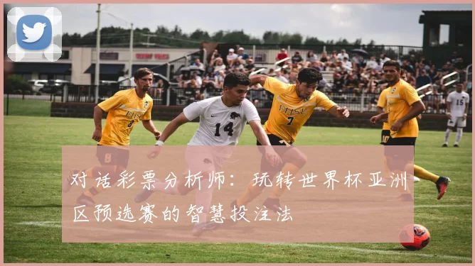 对话彩票分析师：玩转世界杯亚洲区预选赛的智慧投注法